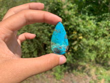 Charger l'image dans la galerie, Chrysocolle 22