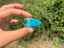 Charger l'image dans la galerie, Chrysocolle 22
