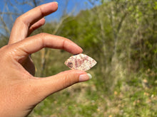 Charger l'image dans la galerie, Jaspe oeil d'oiseau 9