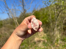 Charger l'image dans la galerie, Jaspe oeil d'oiseau 9