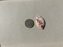 Charger l'image dans la galerie, Jaspe oeil d'oiseau 9