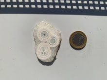 Charger l'image dans la galerie, Quartz solaire brut 1