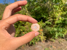 Charger l'image dans la galerie, Quartz solaire brut 3