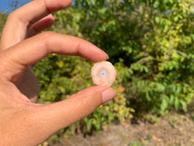 Charger l'image dans la galerie, Quartz solaire brut 3