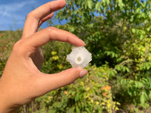 Charger l'image dans la galerie, Quartz solaire brut 4