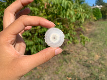 Charger l'image dans la galerie, Quartz solaire brut 6