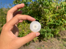 Charger l'image dans la galerie, Quartz solaire brut 6