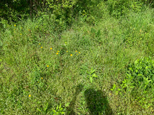 Charger l'image dans la galerie, VENDU Feldspath / Pierre de soleil 50
