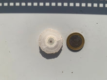 Charger l'image dans la galerie, Quartz solaire brut 6