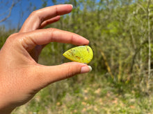 Charger l'image dans la galerie, Opale Commune Verte 9