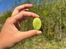 Charger l'image dans la galerie, Opale Commune Verte 10