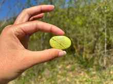 Charger l'image dans la galerie, Opale Commune Verte 10