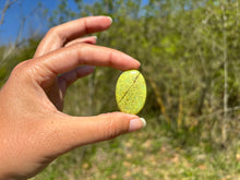 Charger l'image dans la galerie, Opale Commune Verte 10