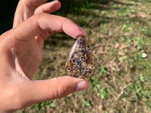 Charger l'image dans la galerie, Ce que j'ai réalisé chez Stéphane Renard