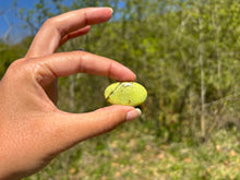 Charger l'image dans la galerie, Opale Commune Verte 14