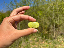 Charger l'image dans la galerie, Opale Commune Verte 14