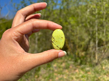 Charger l'image dans la galerie, Opale Commune Verte 14