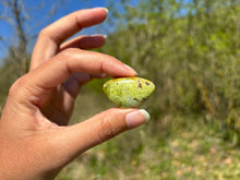 Charger l'image dans la galerie, Opale Commune Verte 15