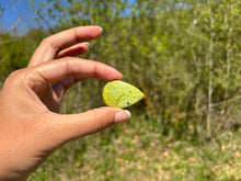 Charger l'image dans la galerie, Opale Commune Verte 18