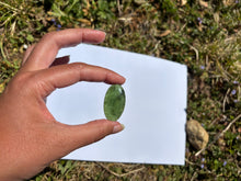 Charger l'image dans la galerie, Jade Néphrite 5