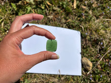 Charger l'image dans la galerie, Jade Néphrite 7