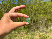 Charger l'image dans la galerie, Jade Néphrite 14