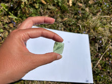 Charger l'image dans la galerie, Jade Néphrite 14