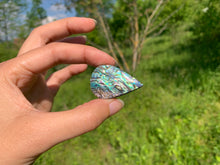 Charger l'image dans la galerie, VENDU Abalone 52