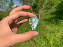 Charger l'image dans la galerie, VENDU Abalone 52