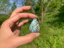 Charger l'image dans la galerie, VENDU Abalone 52