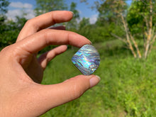Charger l'image dans la galerie, Abalone 53