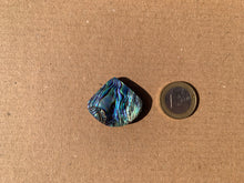 Charger l'image dans la galerie, Abalone 53