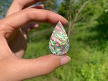 Charger l'image dans la galerie, VENDU Abalone 54