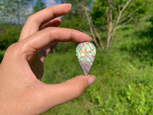 Charger l'image dans la galerie, VENDU Abalone 54