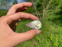 Charger l'image dans la galerie, VENDU Abalone 54