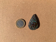 Charger l'image dans la galerie, VENDU Abalone 54