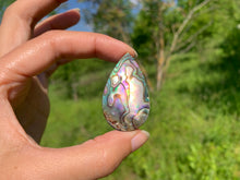 Charger l'image dans la galerie, Abalone 55