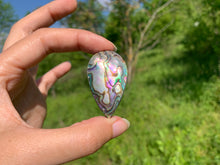 Charger l'image dans la galerie, Abalone 55