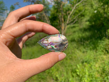 Charger l'image dans la galerie, Abalone 55