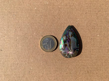 Charger l'image dans la galerie, Abalone 55