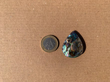 Charger l'image dans la galerie, Abalone 56