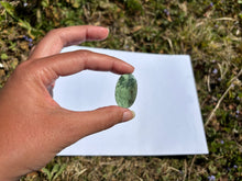 Charger l'image dans la galerie, Jade Néphrite 18