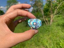 Charger l'image dans la galerie, Abalone 58