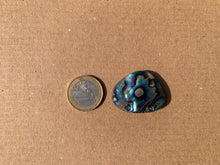 Charger l'image dans la galerie, Abalone 58