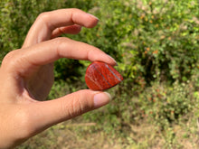 Charger l'image dans la galerie, VENDU Jaspe peau de serpent 18