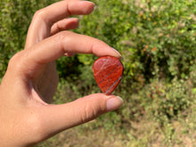 Charger l'image dans la galerie, VENDU Jaspe peau de serpent 18