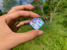 Charger l'image dans la galerie, Abalone 60