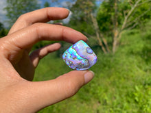 Charger l'image dans la galerie, Abalone 60