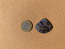 Charger l'image dans la galerie, Abalone 60