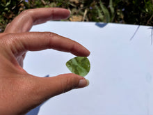 Charger l'image dans la galerie, Jade Néphrite 21